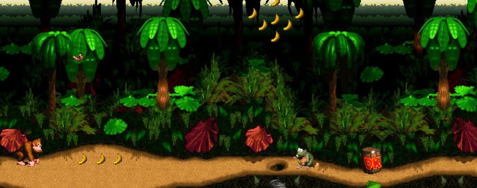 donkey kong