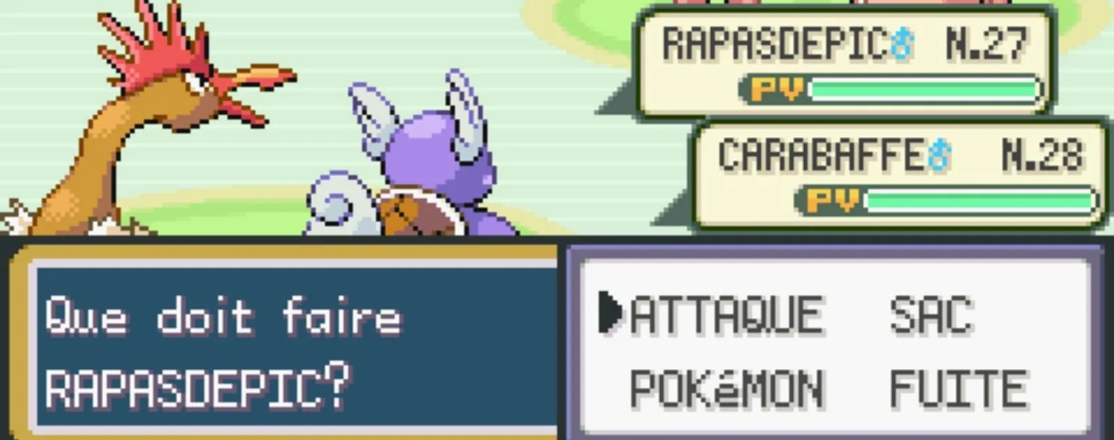 attaque pokemon