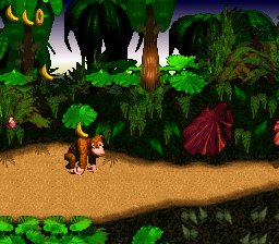 Capture d'écran de Donkey Kong Country