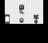 Capture d'écran de Pokémon Version Rouge / Bleue